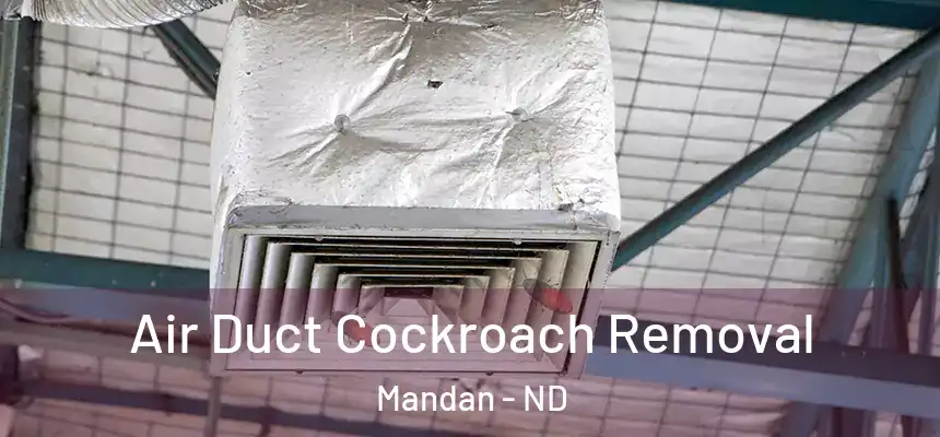  Air Duct Cockroach Removal Mandan - ND