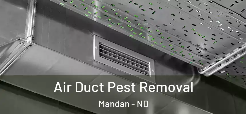  Air Duct Pest Removal Mandan - ND