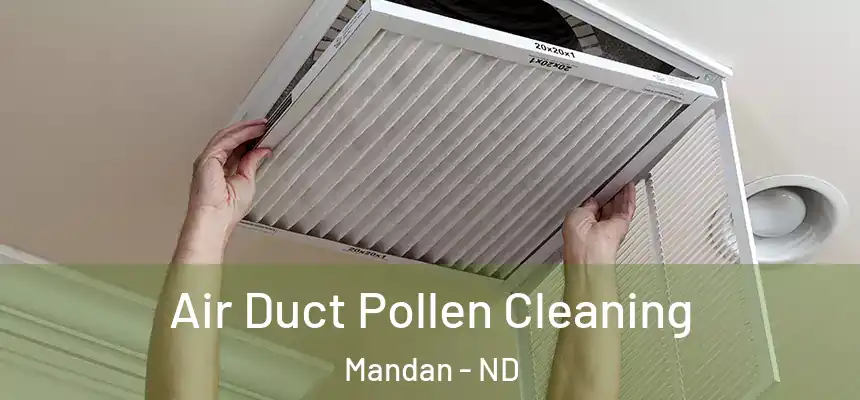 Air Duct Pollen Cleaning Mandan - ND