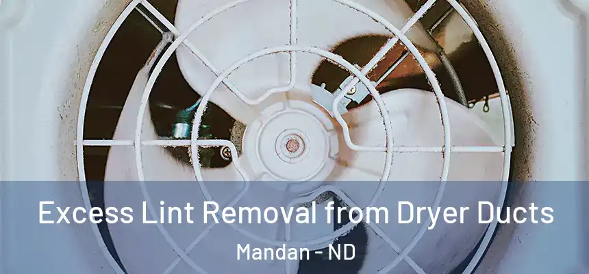  Excess Lint Removal from Dryer Ducts Mandan - ND