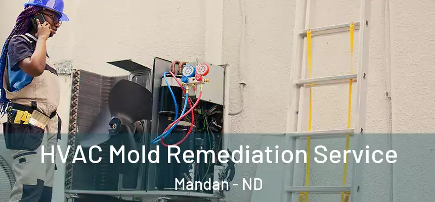  HVAC Mold Remediation Service Mandan - ND