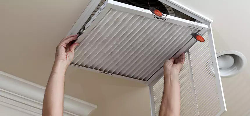Preventive Cockroach-Proofing for Ducts in Mandan