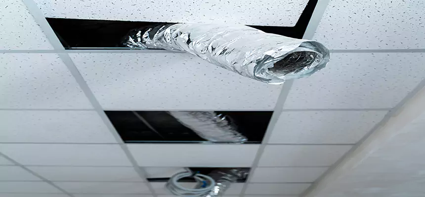 Our Air Duct Pet Hair Removal Services in Mandan, ND