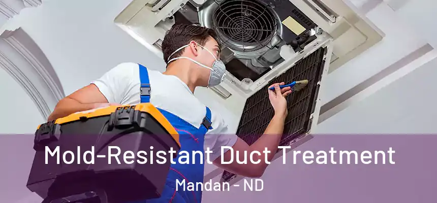  Mold-Resistant Duct Treatment Mandan - ND