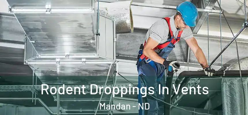  Rodent Droppings In Vents Mandan - ND