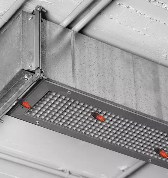 About Air Duct Cockroach Removal in Mandan, ND
