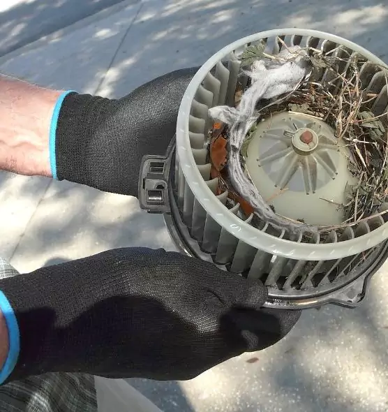 About Air Duct Rat Removal in Mandan, ND